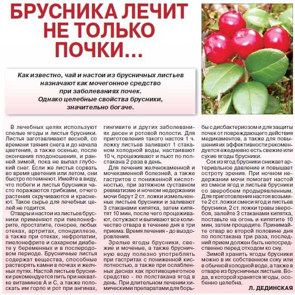 Брусника при гипертонии | лечение сердца