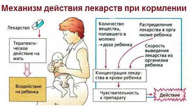 Что делать при высоком давлении у кормящей мамы
