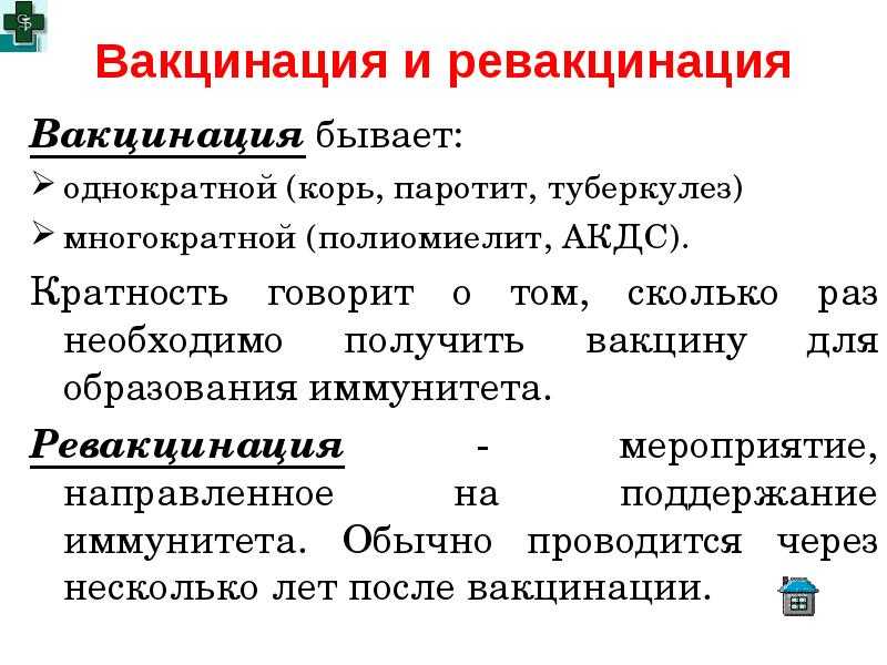 Вакцина и лечебная сыворотка: что это за препараты и чем они отличаются?