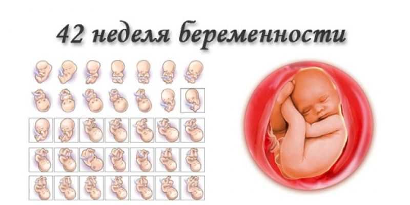 40 неделя беременности | уроки для мам
