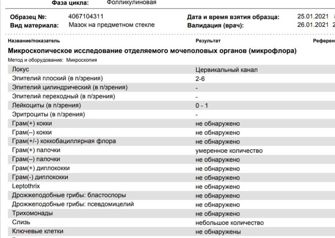 Что показывает мазок на флору у женщин?