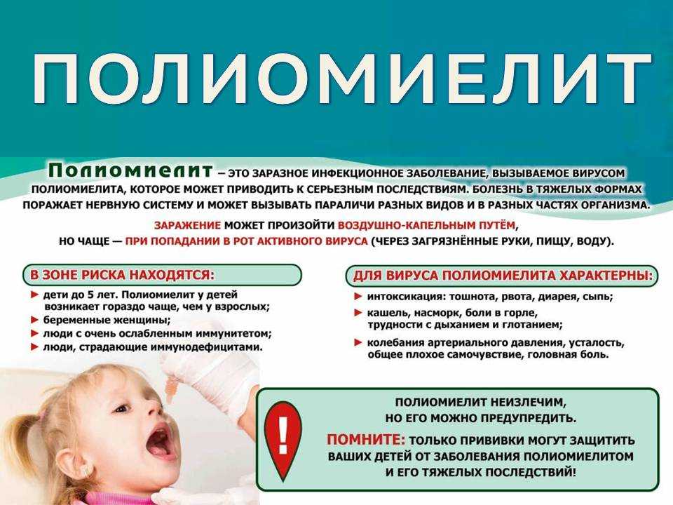 Ревакцинация полиомелита - правила, сроки, графики и схемы