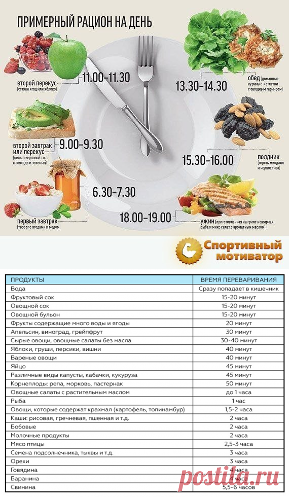 Тяжелая пища: что важно знать? | энтеросгель