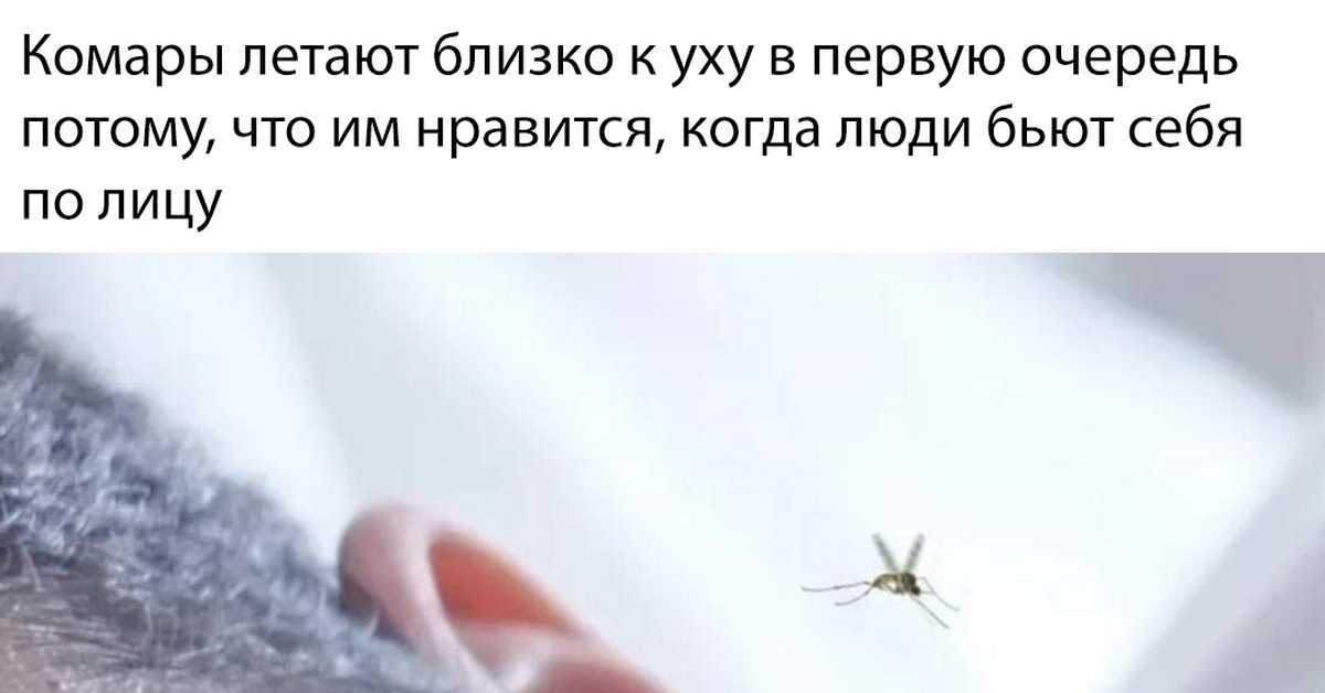 Малярийные комары