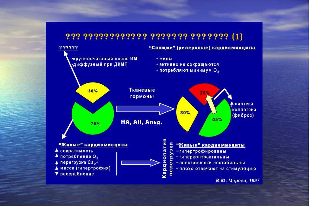 Что такое концентрическое ремоделирование левого желудочка
