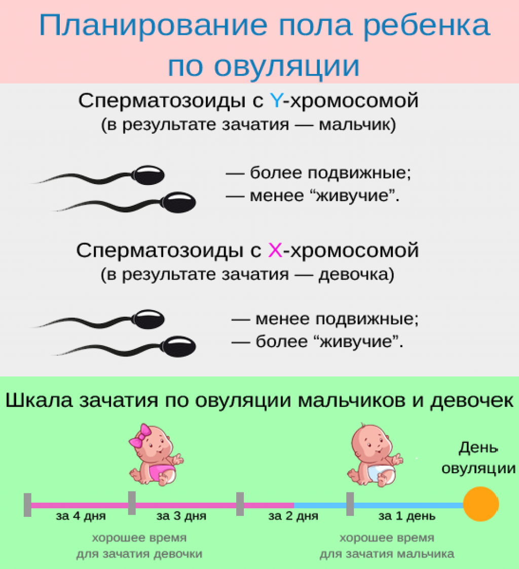 Можно ли забеременеть с первого раза?