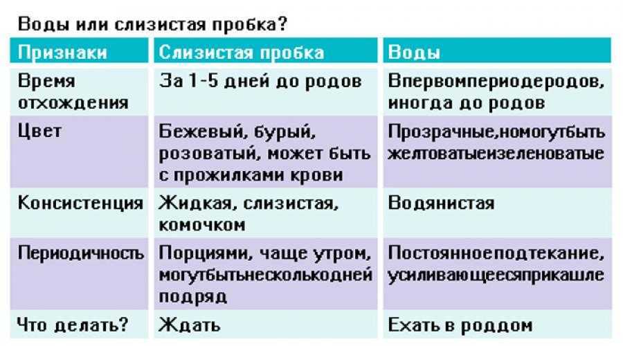 Через сколько начинаются роды после отхождения пробки? как отходит и выглядит пробка при беременности?