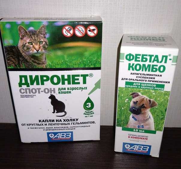Дибазол (dibazol): описание, рецепт, инструкция