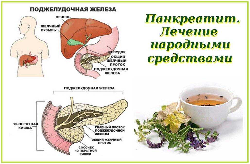Высокая температура при панкреатите: что делать и как сбить