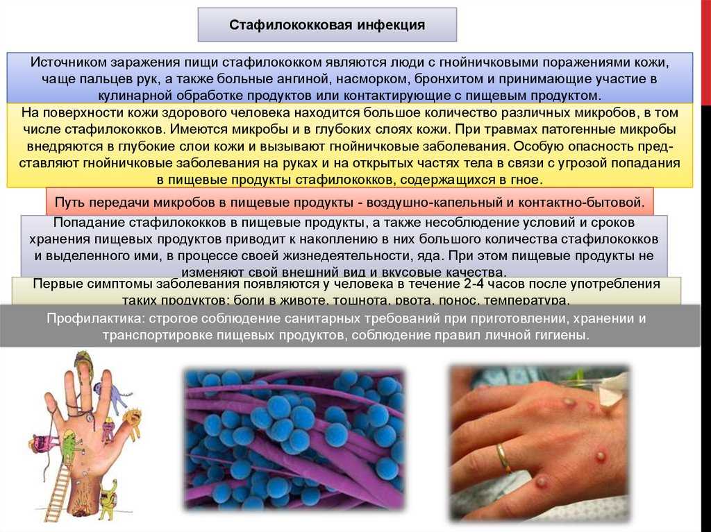 Стафилококк золотистый ауреус - симптомы