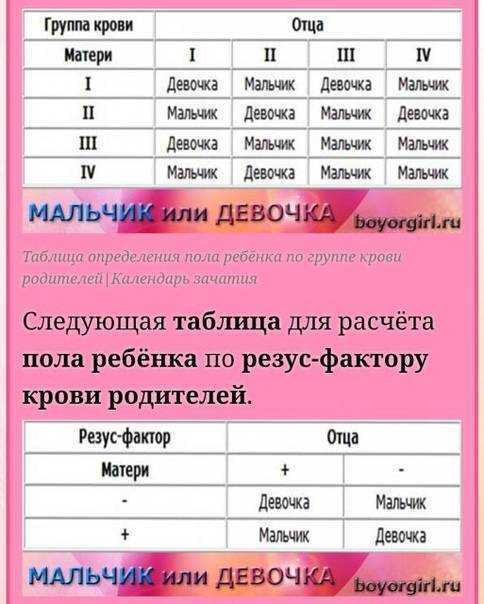 Определение пола ребенка по группе крови родителей: таблица, методы расчета