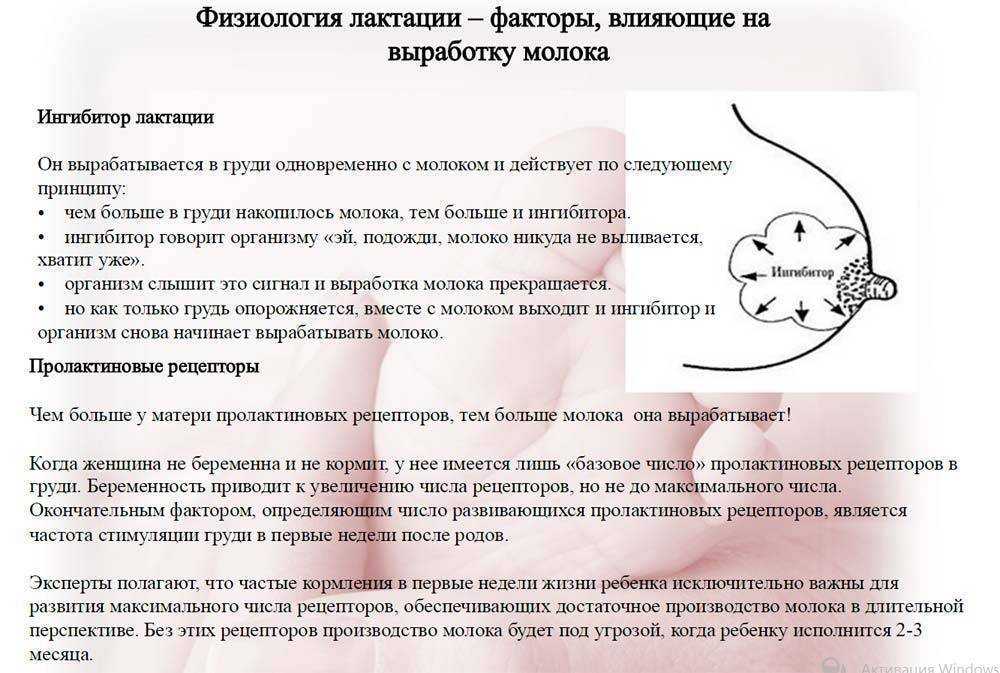 Почему после родов женщина сильно худеет: основные причины и способы предотвращения