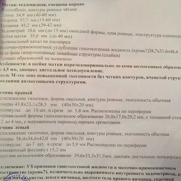 Уровень хгч при внематочной беременности — беременность. беременность по неделям.