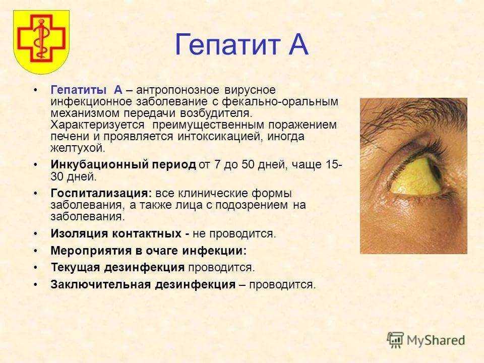 Желтуха — это желтушное окрашивание кожи и слизистых оболочек, которое появляется при повышении в крови уровня билирубина продукт распада гемоглобина