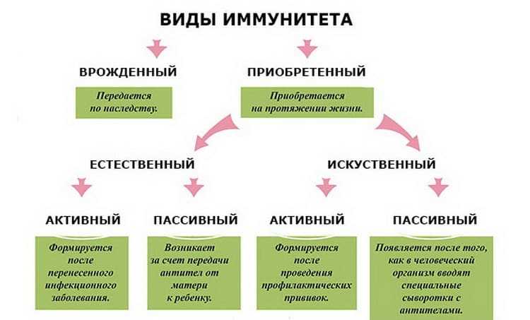 Ветрянка у детей: информация для родителей