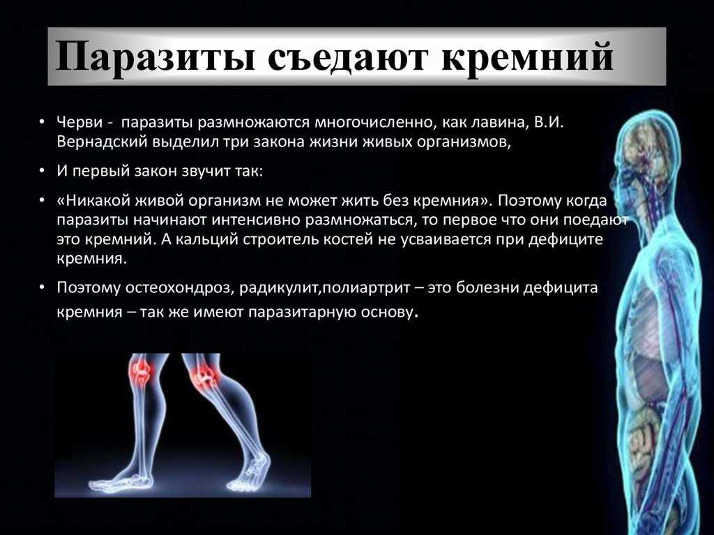 Кремний в продуктах питания