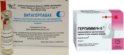 Vcl-hb01 и pbs и vcl-hm01 при генитальный простой герпес типа 2 - реестр клинических исследований - ich gcp