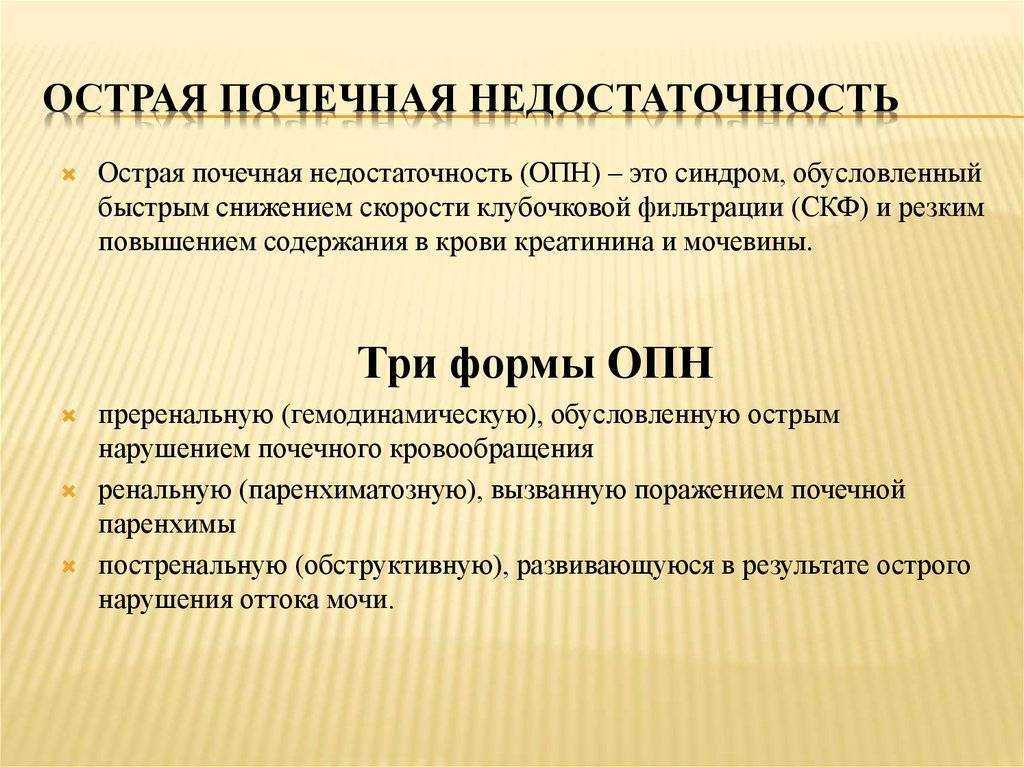 Почечная недостаточность: профилактика и частые симптомы заболеваний почек, приводящие к их гибели