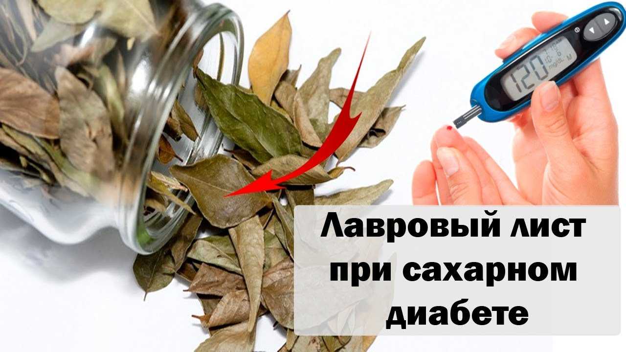 Лавровый лист при сахарном диабете: противопоказания, лечебные свойства