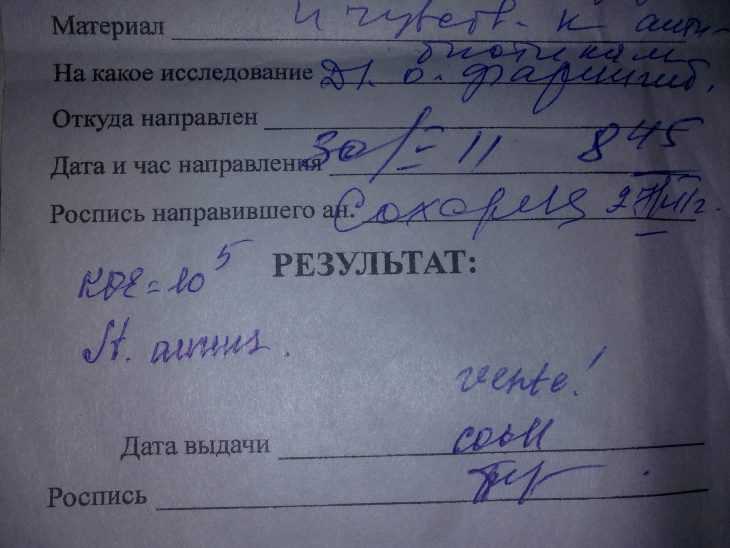 Золотистый стафилококк — возбудитель опаснейших заболеваний