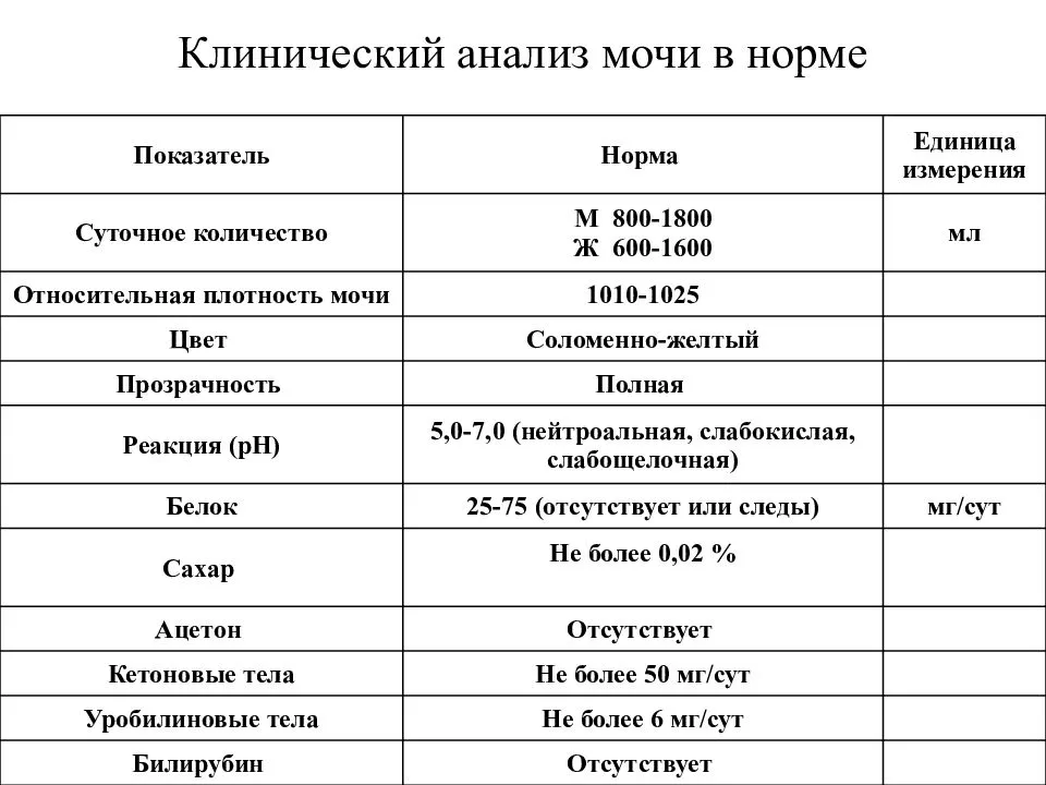 Клинический (общий) анализ мочи при беременности