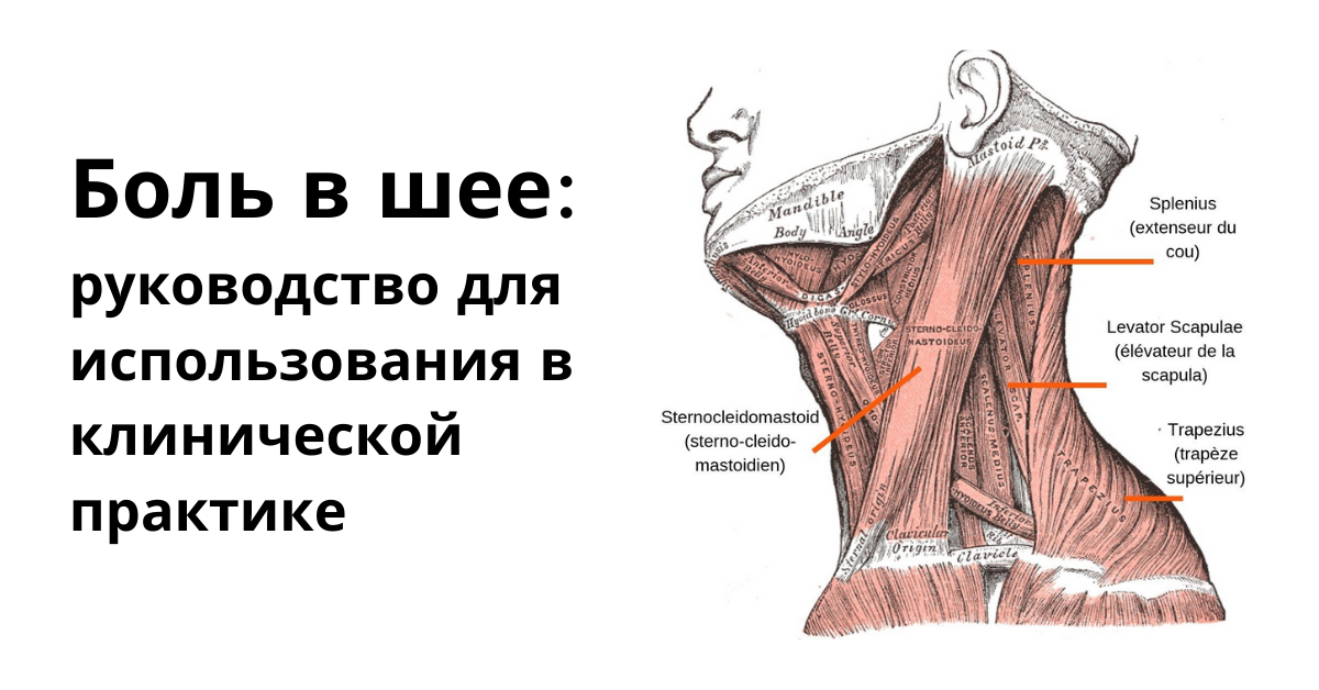 Ком в горле и болит ниже кадыка