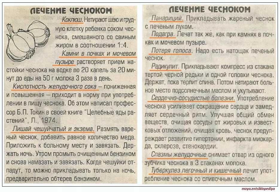 Чеснок от глистов: помогает ли против паразитов, как действует, как вывести у взрослых и можно ли давать детям, обзор отзывов
