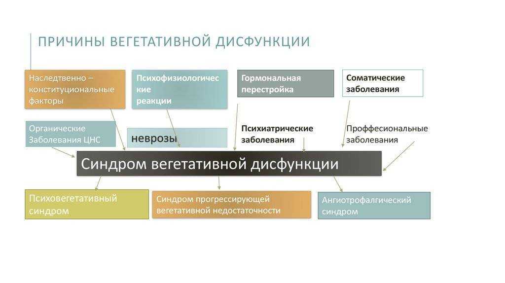 Нейроциркуляторная дистония: причины, признаки, типы, лечение
