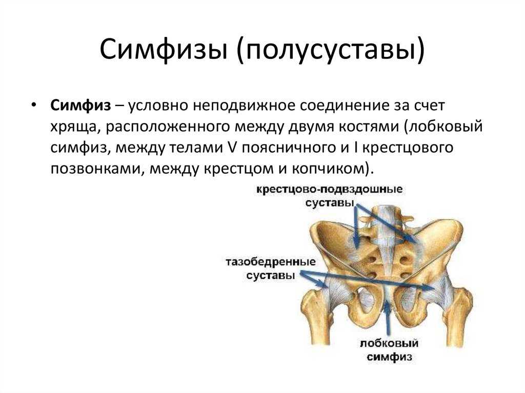 Болит лобковая кость при беременности: причины, осложнения и последствия, лечение - spuzom.com