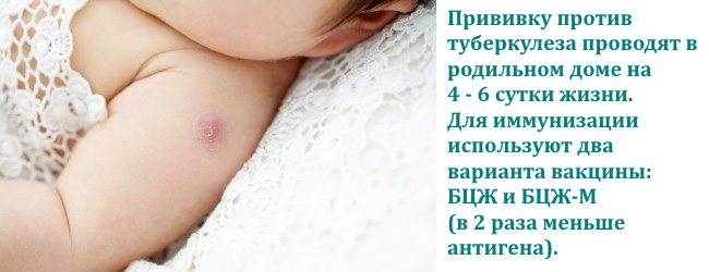 Почему ребенка нельзя купать после прививки: когда можно мыться после  А К Д С,  Б Ц Ж и других вакцин  Можно или нельзя купать ребенка после прививки  Мнение