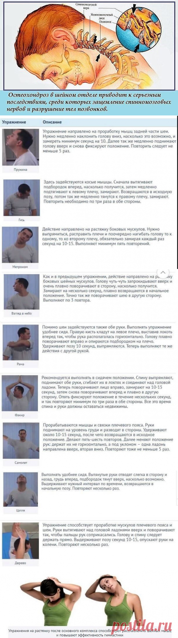 Гимнастика для шеи доктора шишонина: комплекс упражнений для шеи