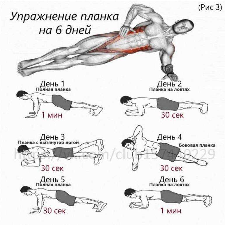 Как накачать пресс за неделю