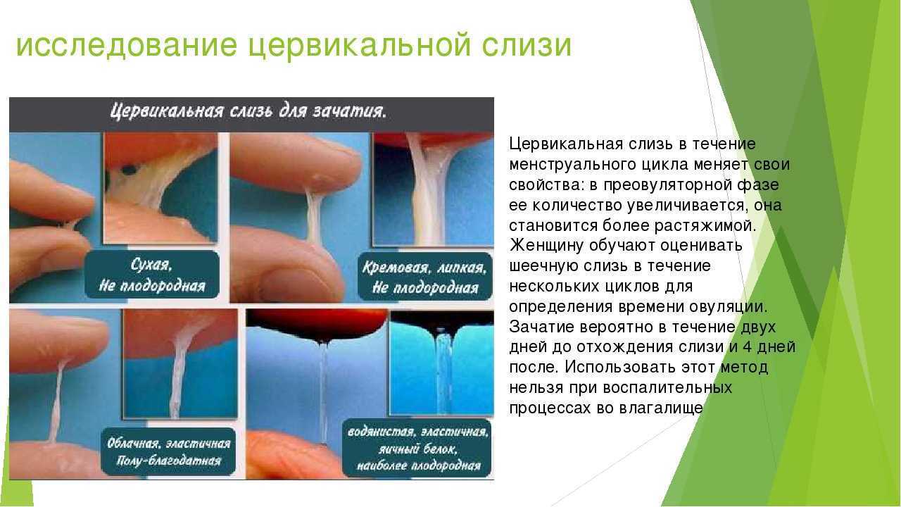 Как по ощущениям определить овуляцию