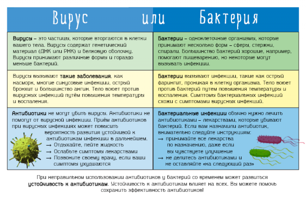 Какие болезни человека вызываются бактериями: список, лечение, профилактика - sammedic.ru