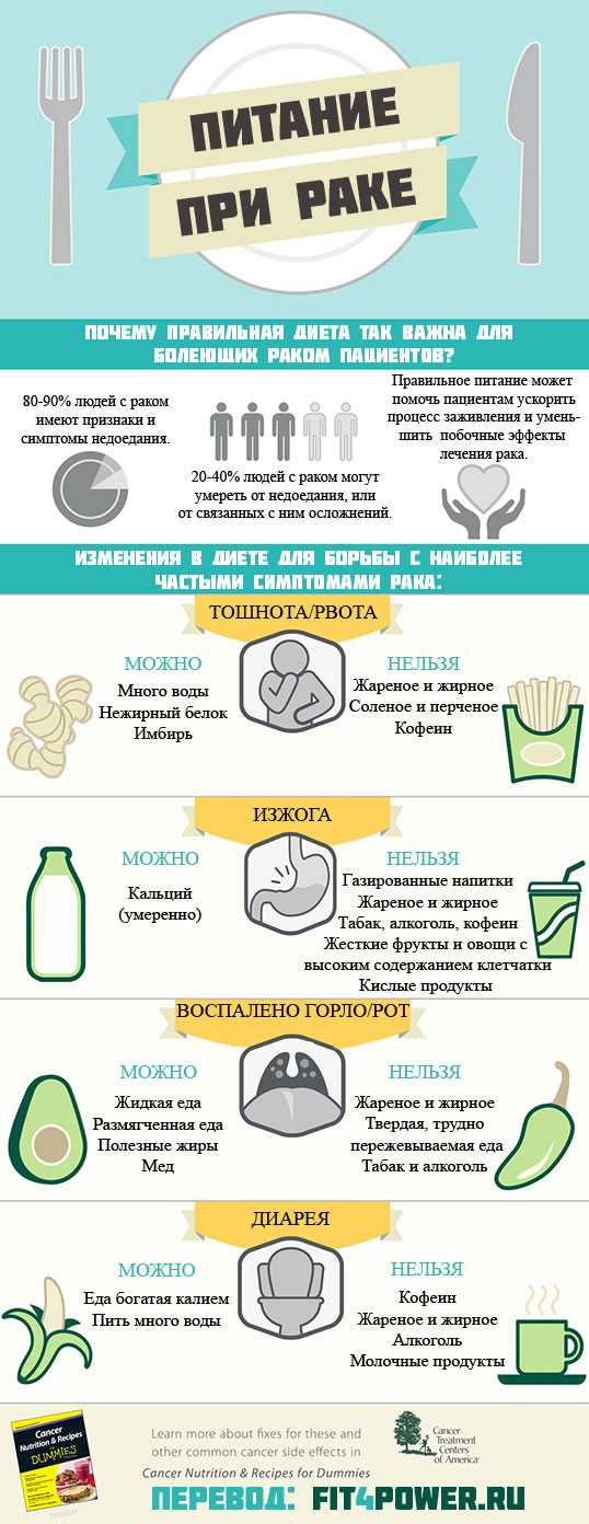 Имбирь против рака: полезные свойства имбирного чая
