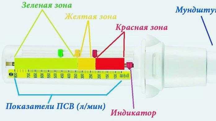 Пикфлоуметрия при бронхиальной астме — показатели нормы