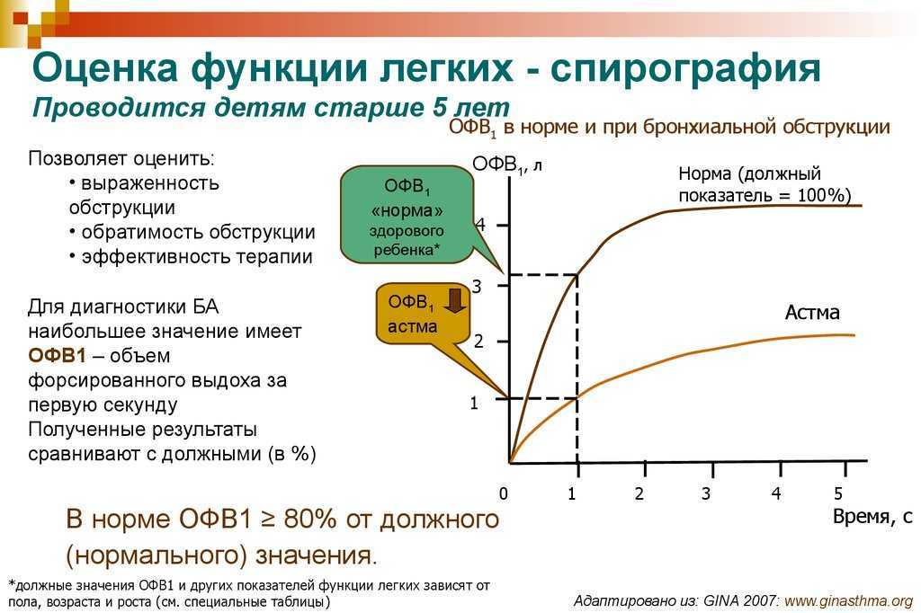 Фвд - описание услуги, при каких болезнях и какие врачи назначают