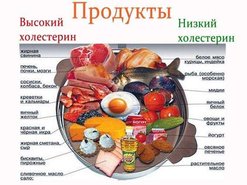Алкоголь и холестерин – норма потребления, польза и вред
