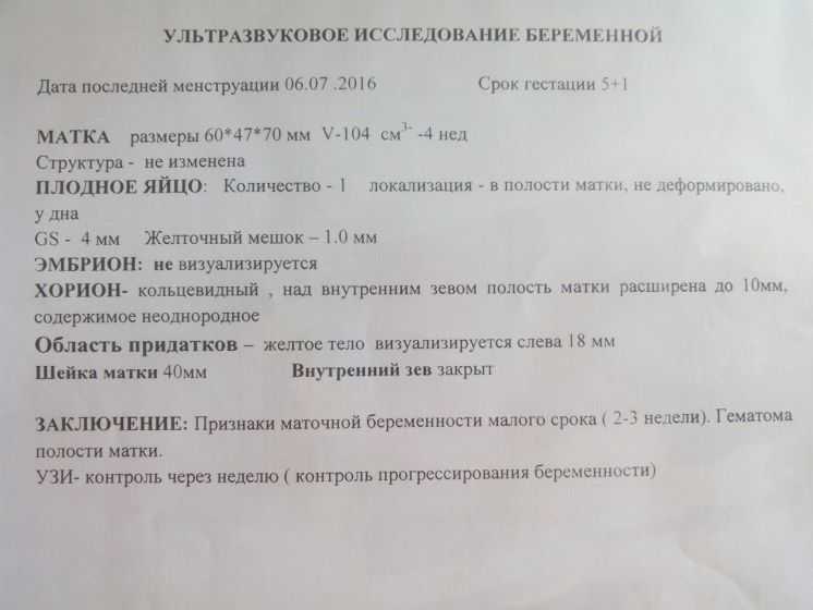 2 неделя беременности: признаки, симптомы, ощущения, фото