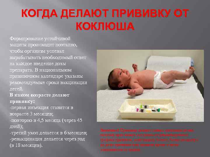 Прививка от коклюша - во сколько ее делают ребенку