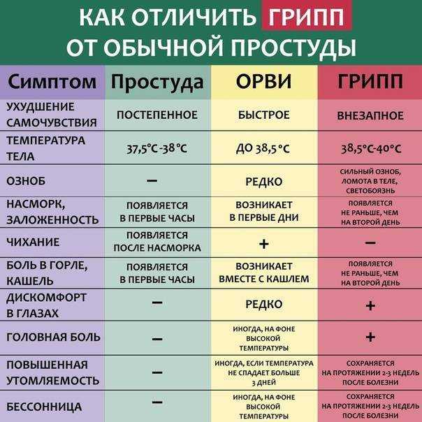 Можно ли в баню с температурой – за и против