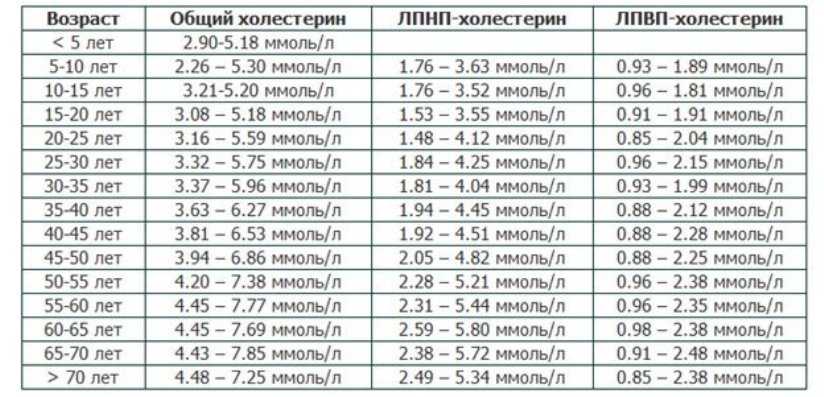 Хороший и плохой холестерин, омега кислоты - все, что нужно знать на top-voprosov.ru