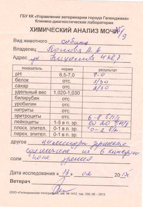 Правила сдачи анализов