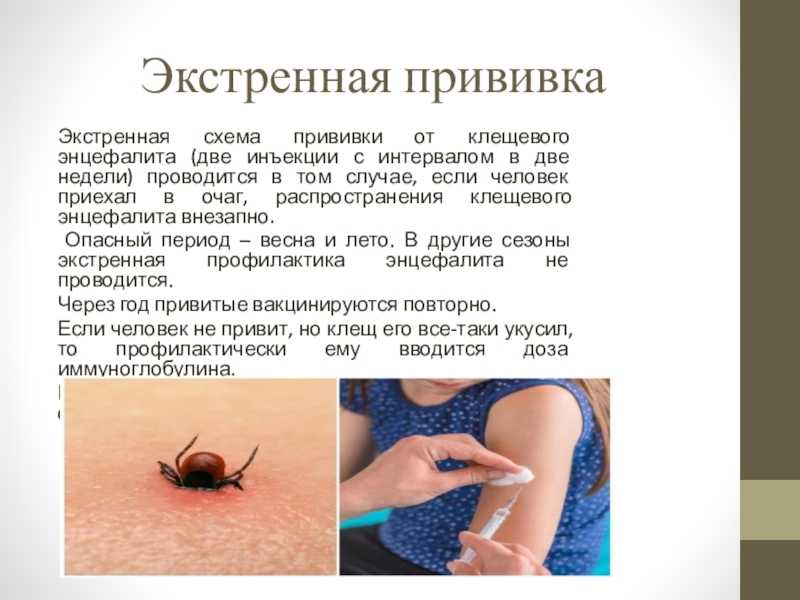 Иммуноглобулин и алкоголь – можно ли пить после укола? | как бросить пить