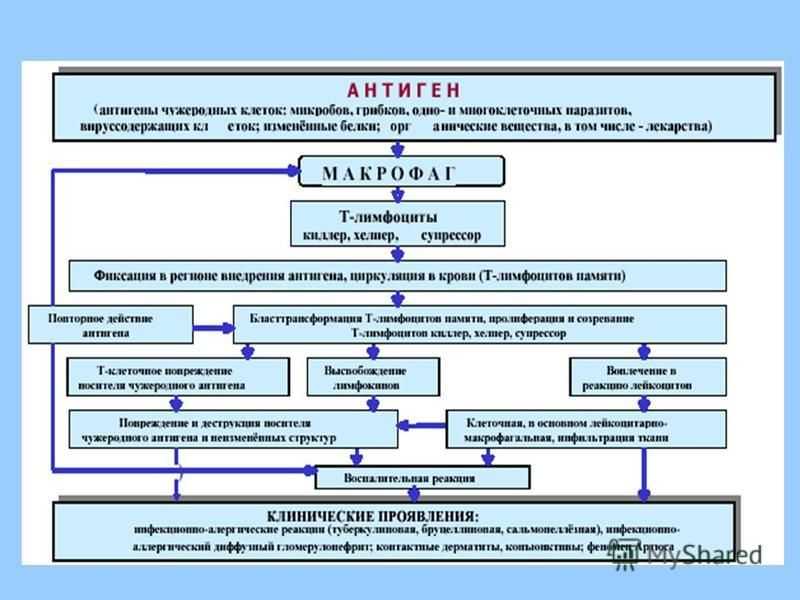 Синдром бронхиальной гиперреактивности