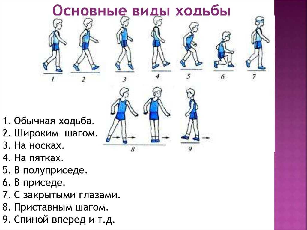 Упражнения при аритмии сердца: допустимые нагрузки и противопоказания | musizmp3.ru
