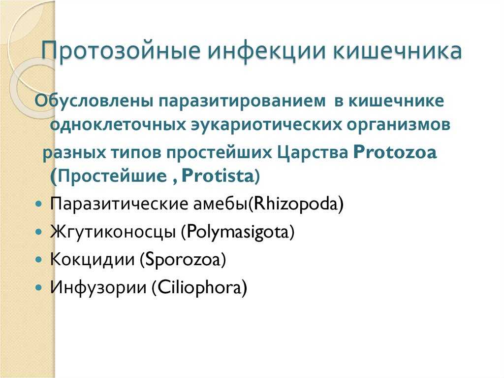 Протозоа (protozoa) - одноклеточные животные. сапрофиты и паразиты