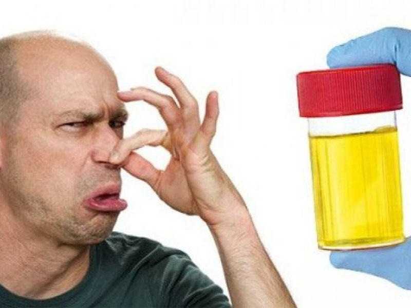 Неприятный запах мочи: а чем пахнет ваша урина?