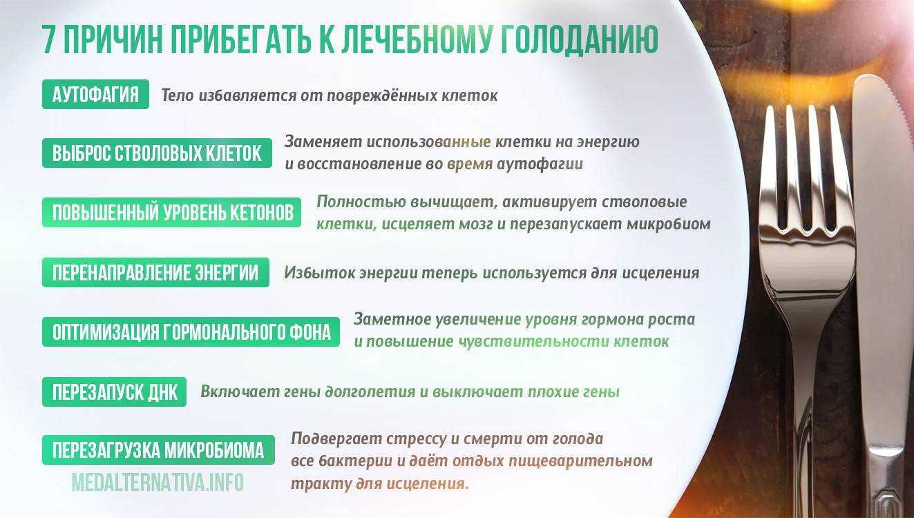 Дневник сухого голодания 7 суток. личный опыт. - голодание - хлеб наш насущный - чтение.по теме и нет.. - камера сенсорной депривации