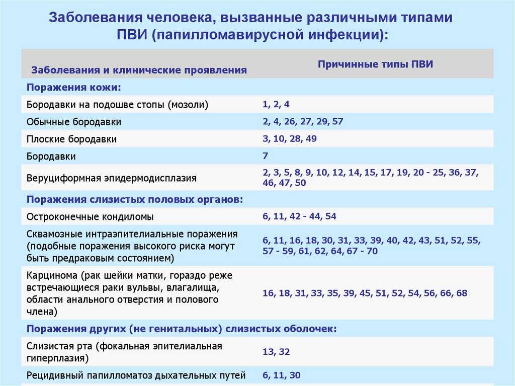 Вирус папилломы: признаки, типы и способы лечения | диагностика, лечение папилломавируса в санкт-петербурге | клиника гинекологии неомед. запись по телефону (812) 249-0-249 или на сайте